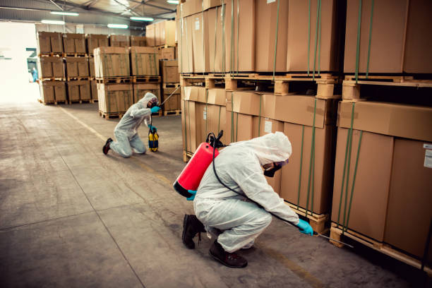 Best Pest Removal Services  in Rden City, GA