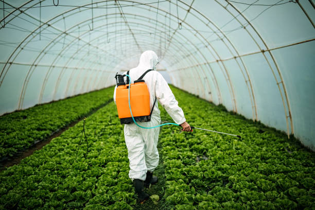 Professional Pest Control in Garden City, GA