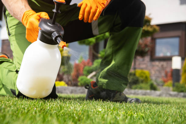 Best Best Pest Control Companies  in Rden City, GA