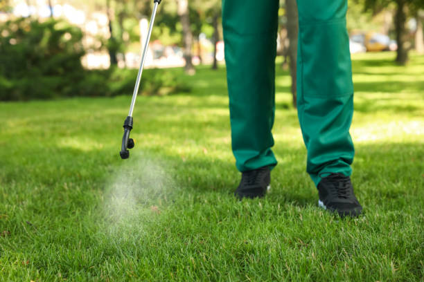 Best Best Pest Control Companies  in Rden City, GA