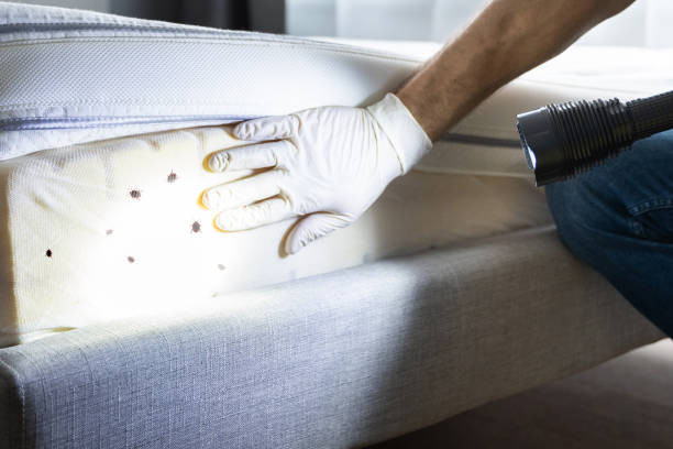 Best Residential Pest Control  in Rden City, GA