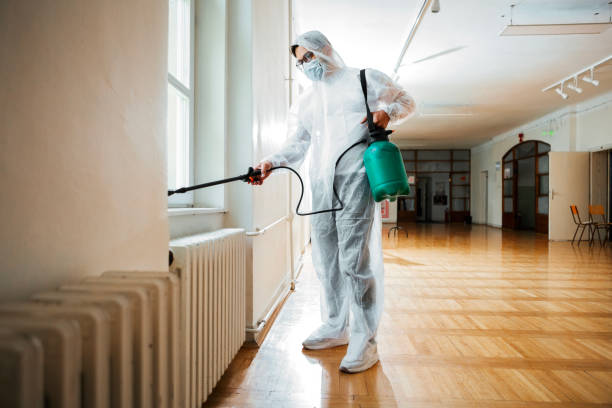 Best Flea Control Services  in Rden City, GA