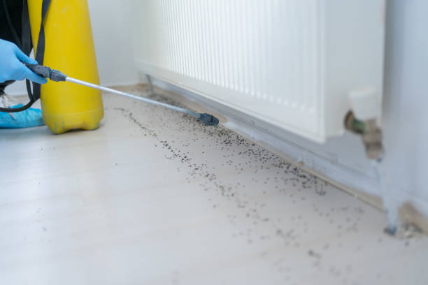 Best Pest Control for Restaurants  in Rden City, GA