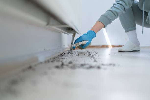 Best Pest Prevention Services  in Rden City, GA